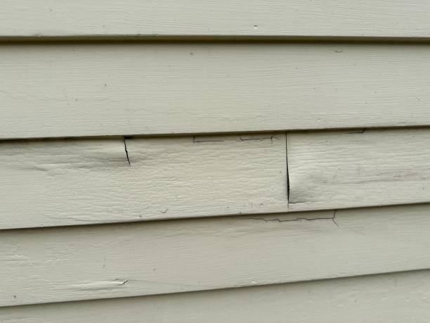 Affordable Siding Repair and Maintenance Services in Glen Head, NY